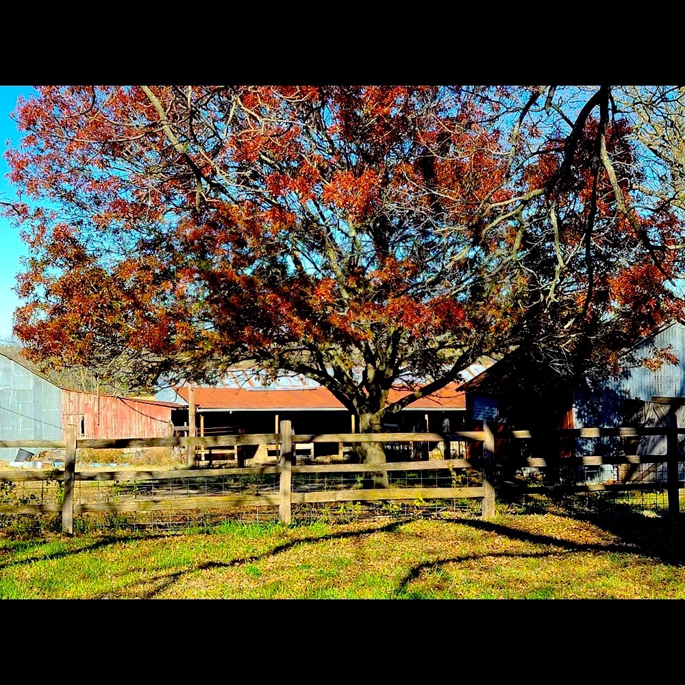 Meet your Posher, Sherry